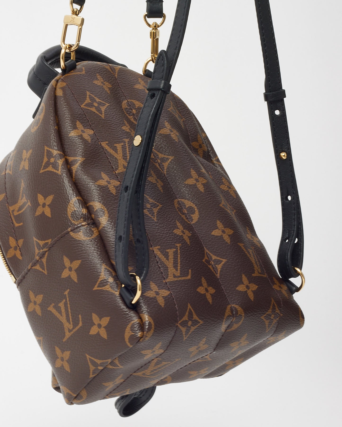 Louis Vuitton Mini sac à dos monogramme Palm Springs