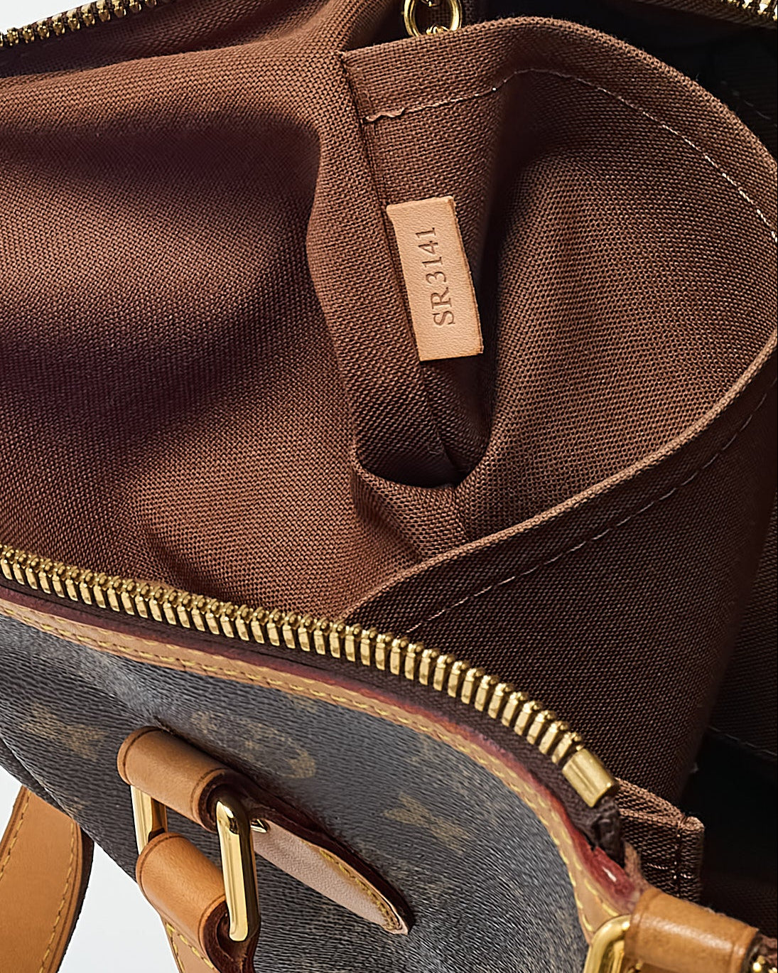 Louis Vuitton Monogram Coated Canvas Palermo PM 2Way Bag