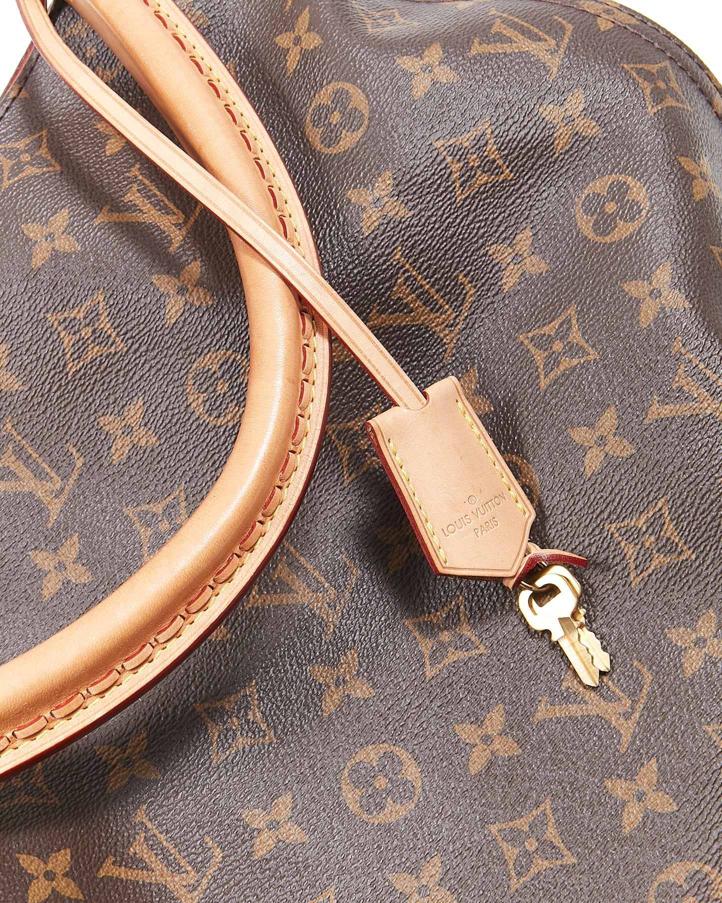 Louis Vuitton Monogram Canvas Gaia Shoulder Bag