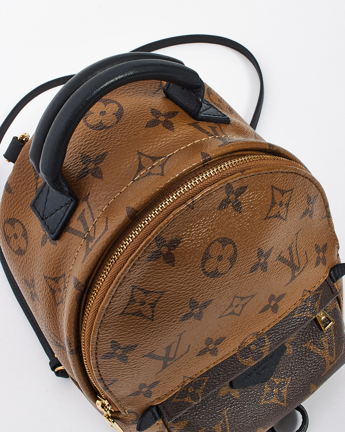 Louis Vuitton Reverse Monogram Canvas Palm Spring Mini Backpack