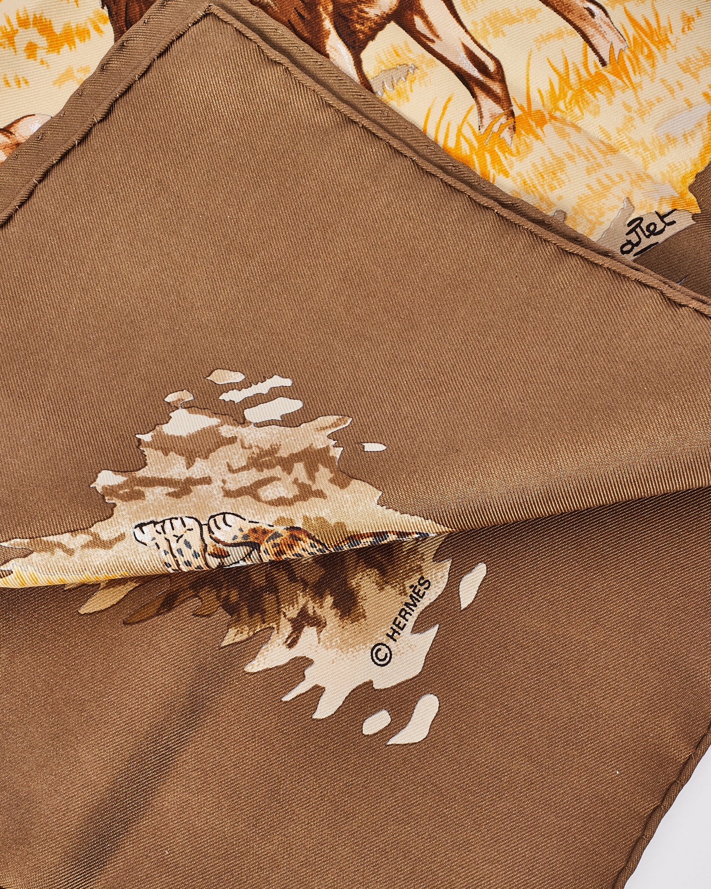 Hermès Brown Multi "Africa" Silk Scarf