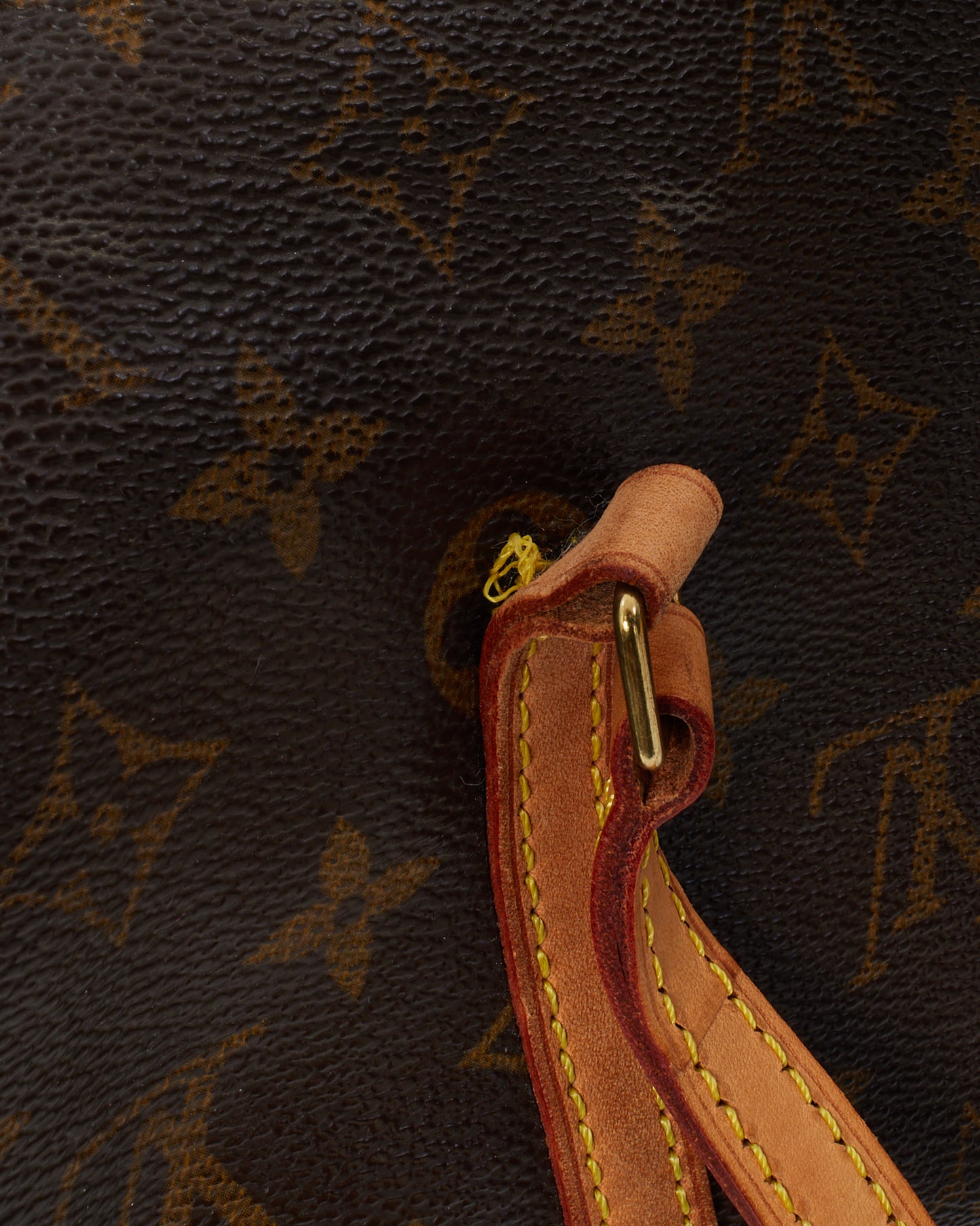 Louis Vuitton Monogram Canvas Papillon 30 Bag