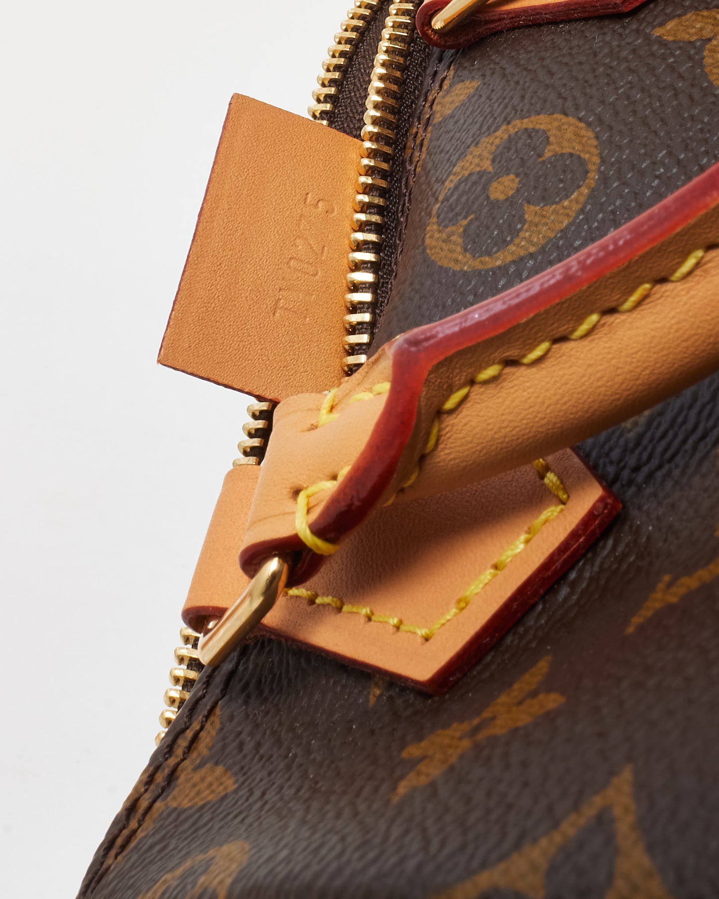 Louis Vuitton Monogram Canvas Speedy Nano Speedy Bandoulière
