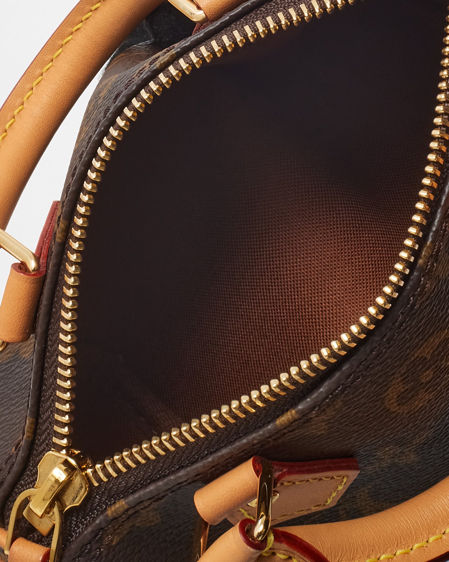 Louis Vuitton Monogram Canvas Speedy Nano Speedy Bandoulière