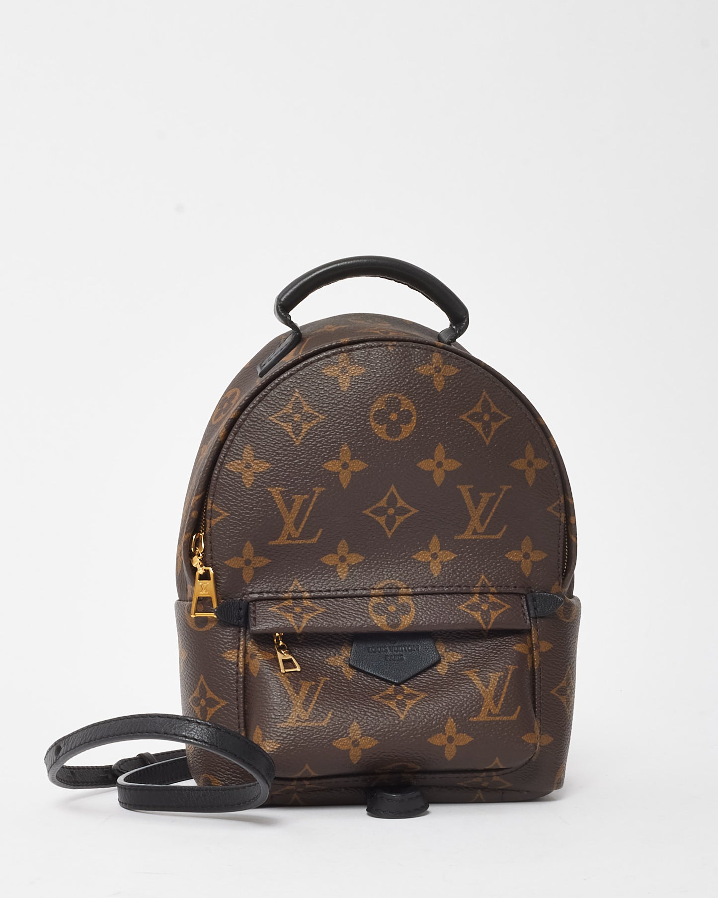 Louis Vuitton Monogram Canvas Palm Springs Mini Backpack