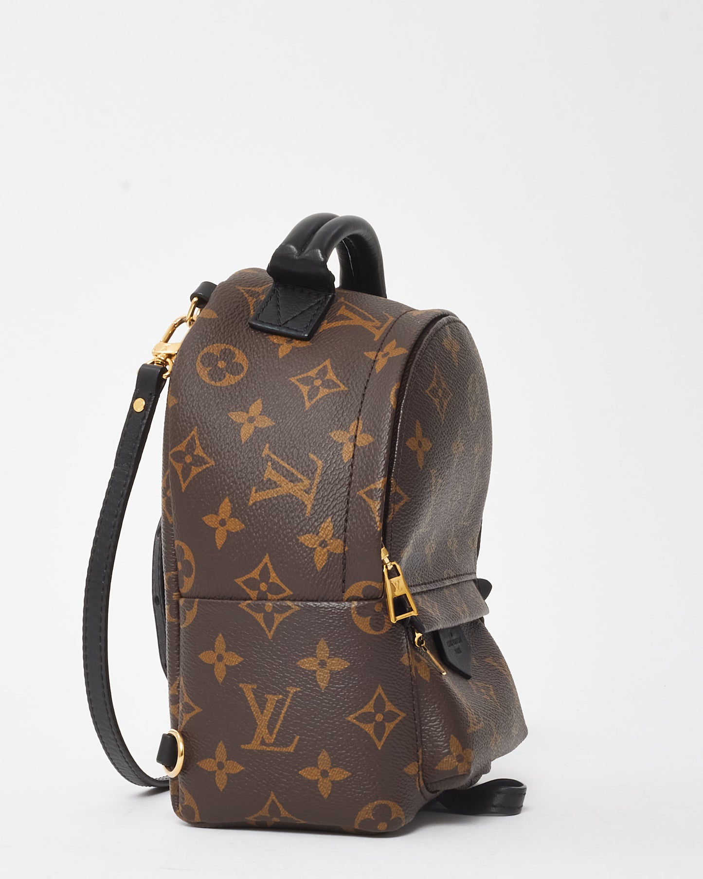 Louis Vuitton Monogram Canvas Palm Springs Mini Backpack