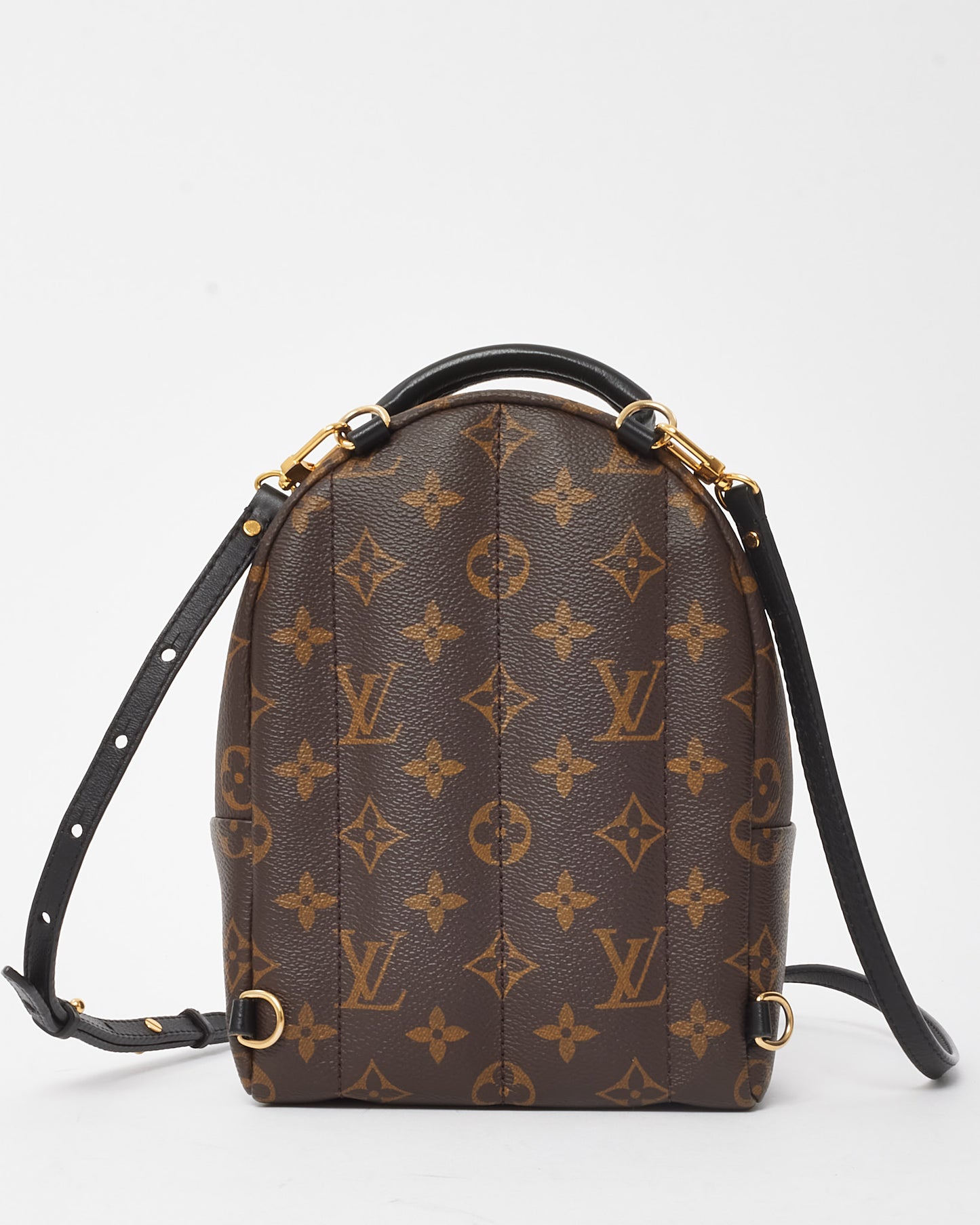 Louis Vuitton Monogram Canvas Palm Springs Mini Backpack