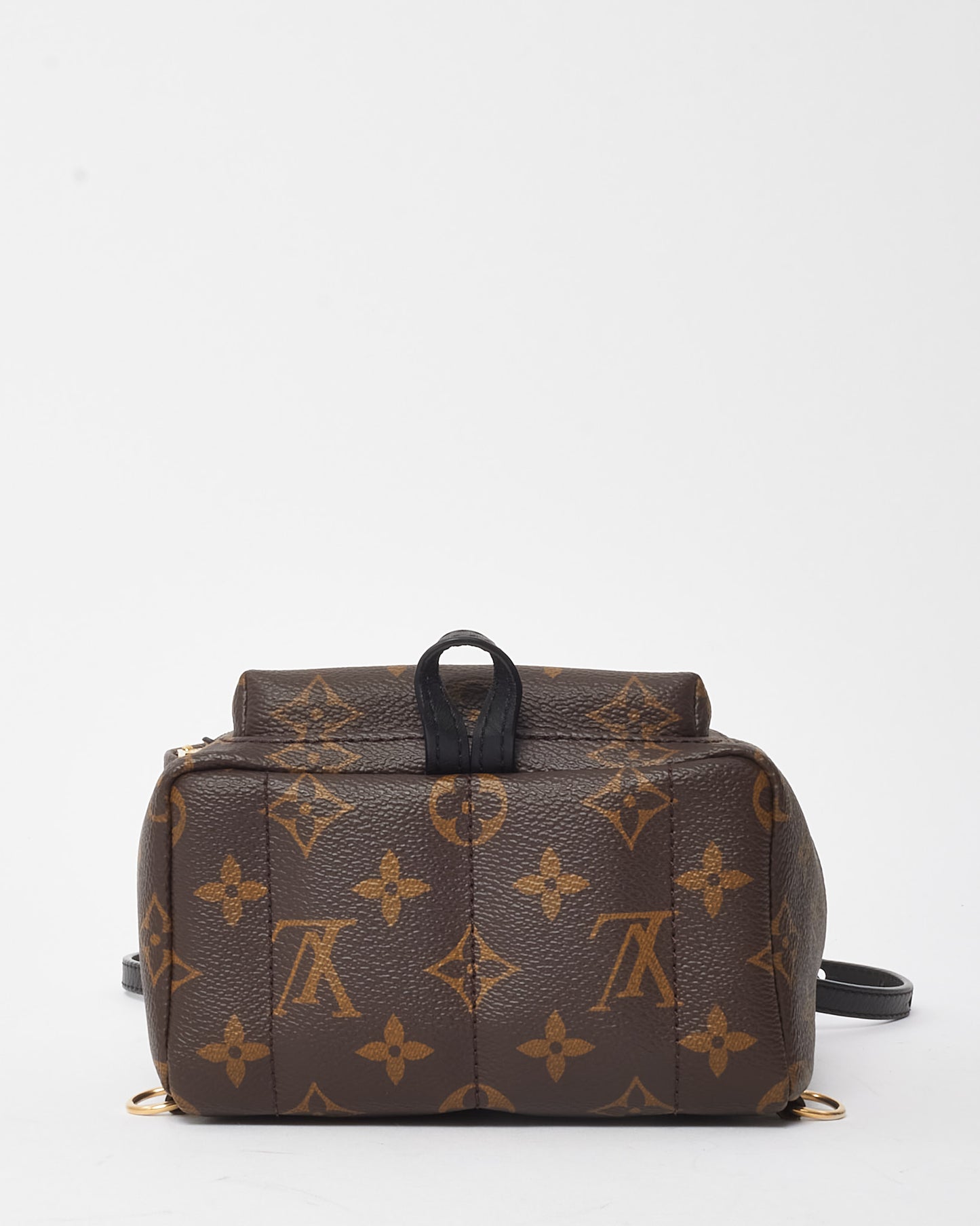 Louis Vuitton Monogram Canvas Palm Springs Mini Backpack