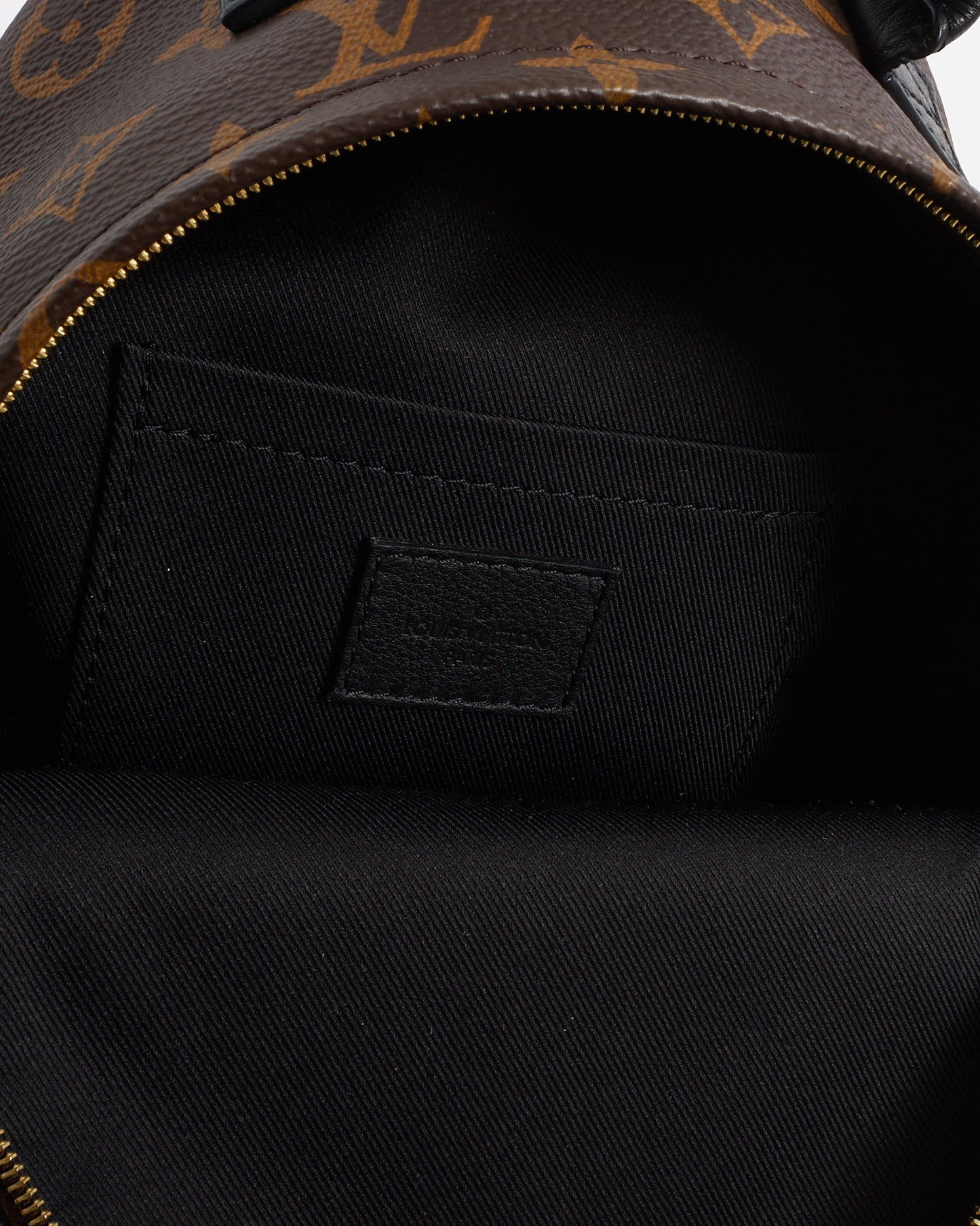 Louis Vuitton Monogram Canvas Palm Springs Mini Backpack