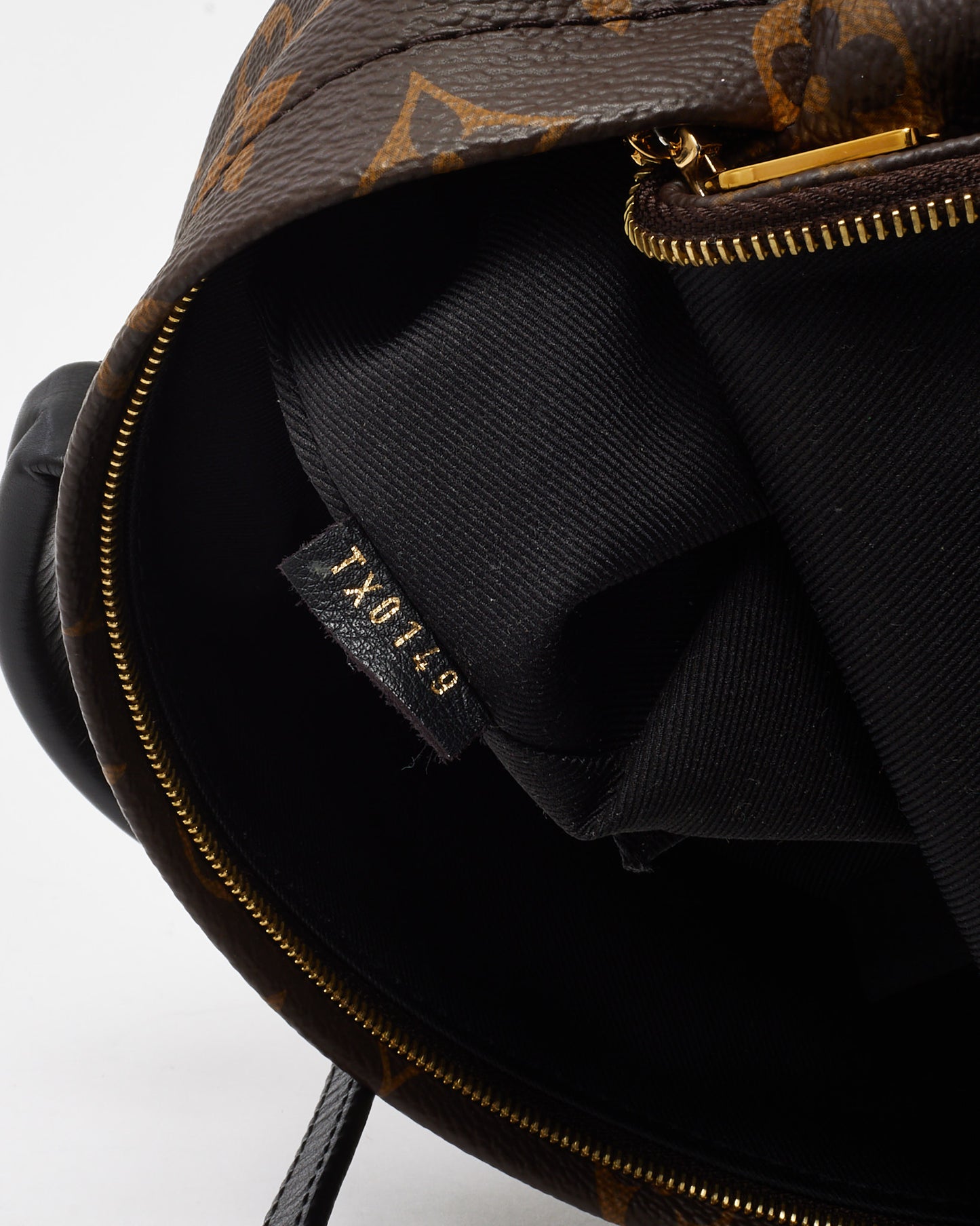 Louis Vuitton Monogram Canvas Palm Springs Mini Backpack