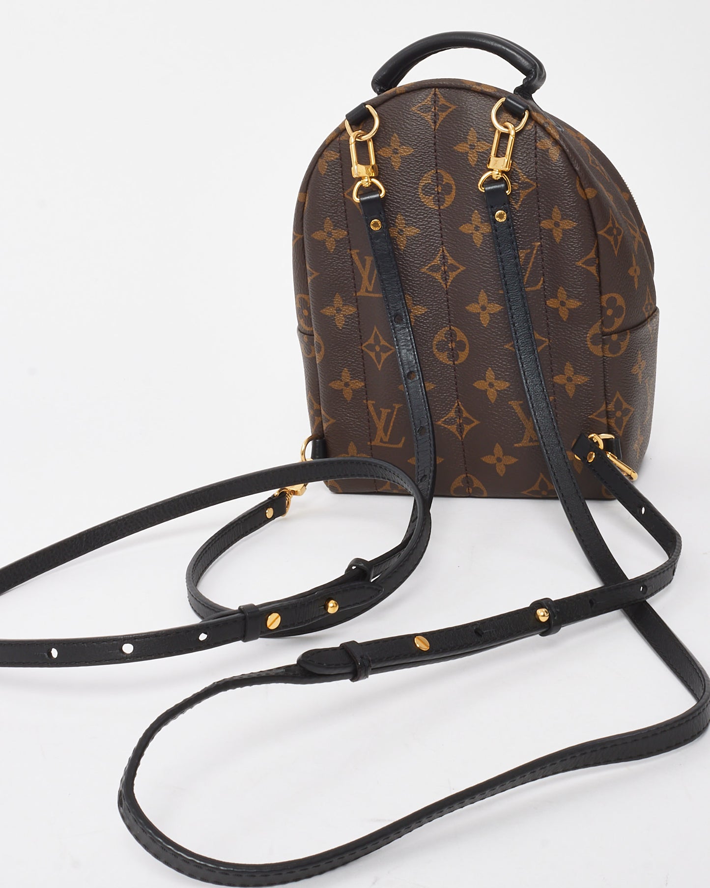 Louis Vuitton Monogram Canvas Palm Springs Mini Backpack
