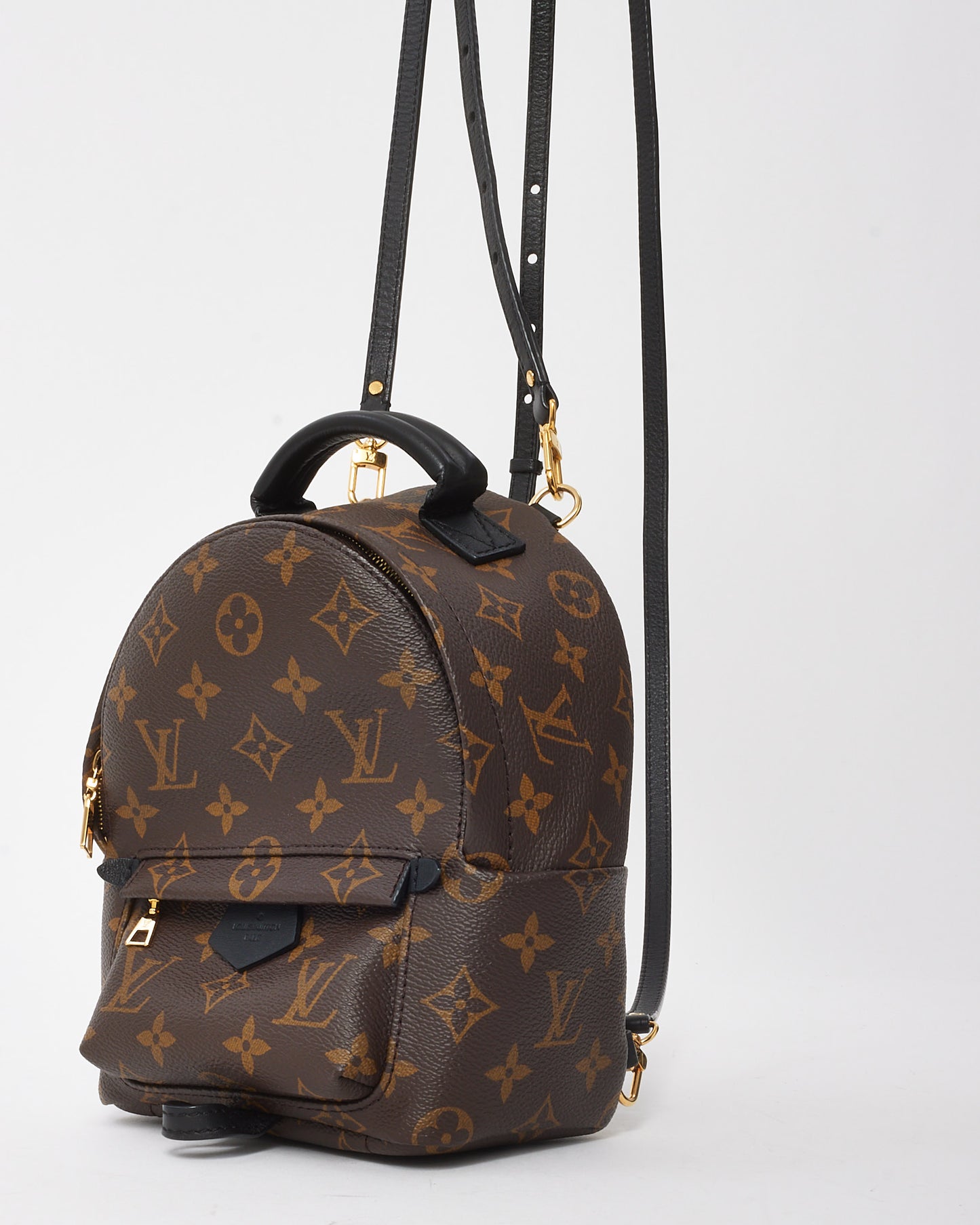 Louis Vuitton Monogram Canvas Palm Springs Mini Backpack
