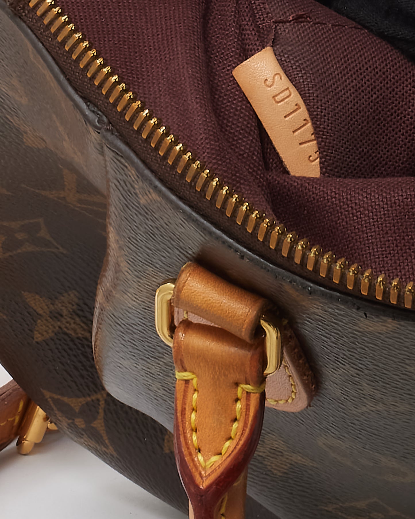 Louis Vuitton Monogram Canvas Turenne PM with Strap