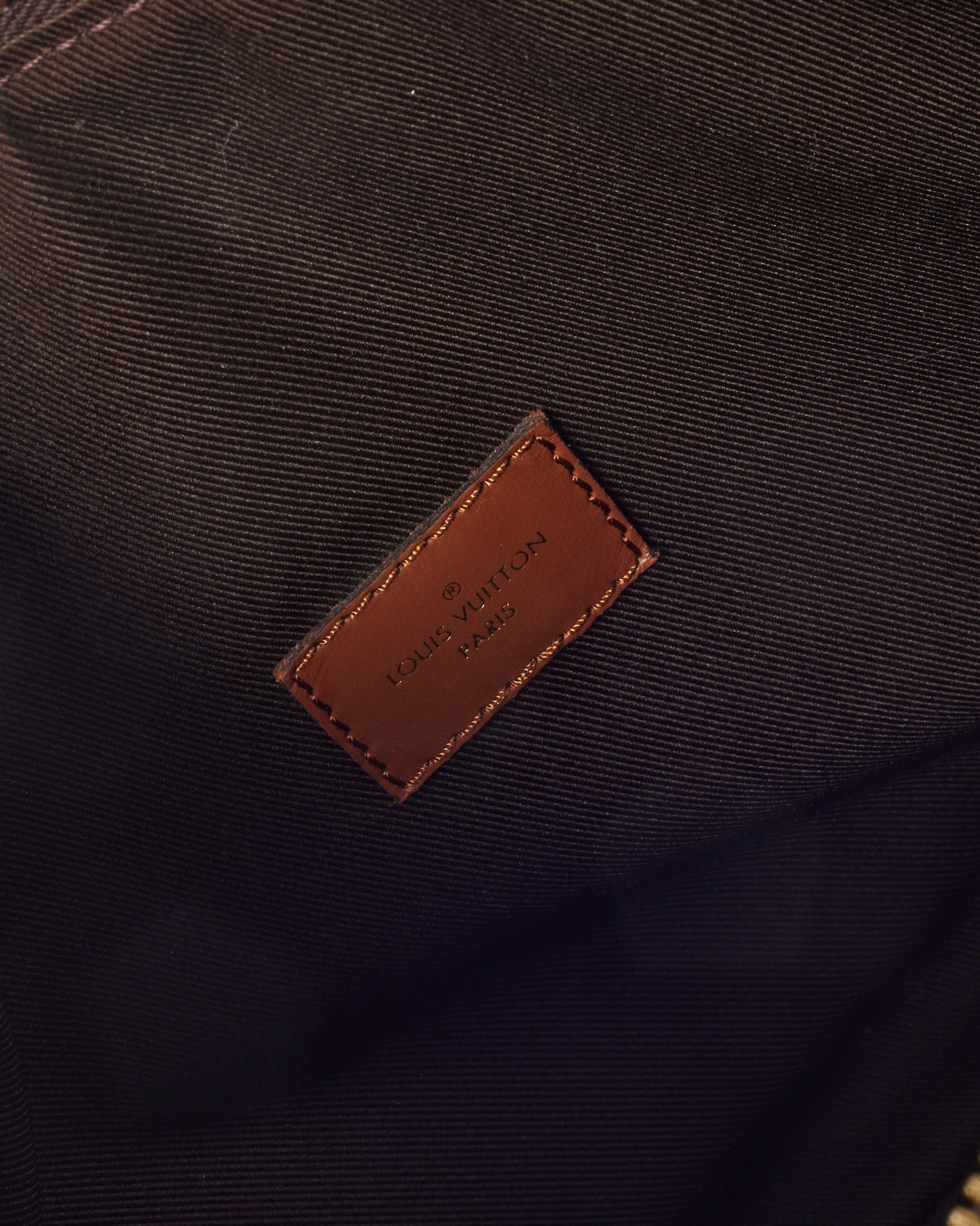 Louis Vuitton Monogram and Monogram Reverse Coated Canvas Loop Hobo Bag