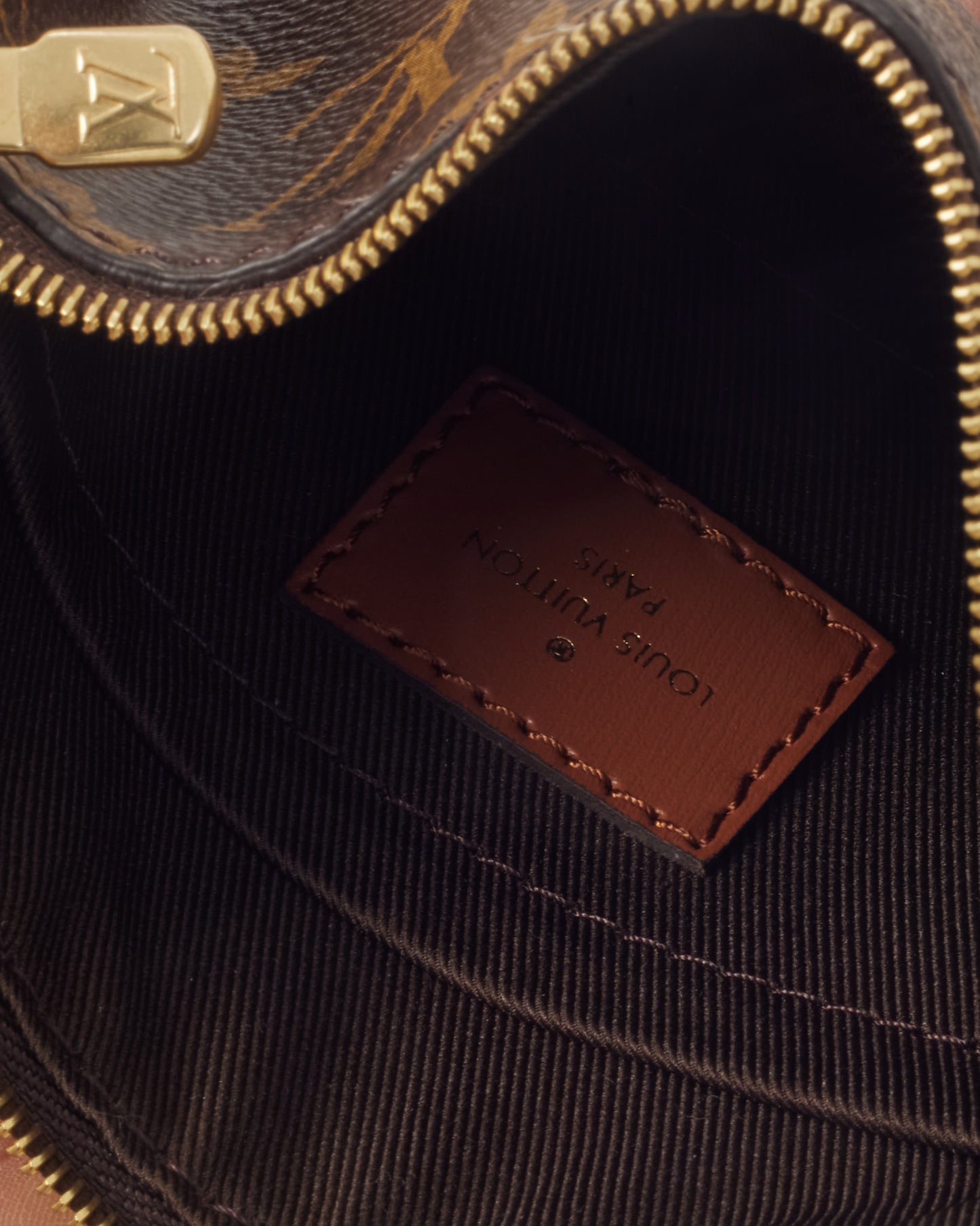 Louis Vuitton Monogram and Monogram Reverse Coated Canvas Loop Hobo Bag