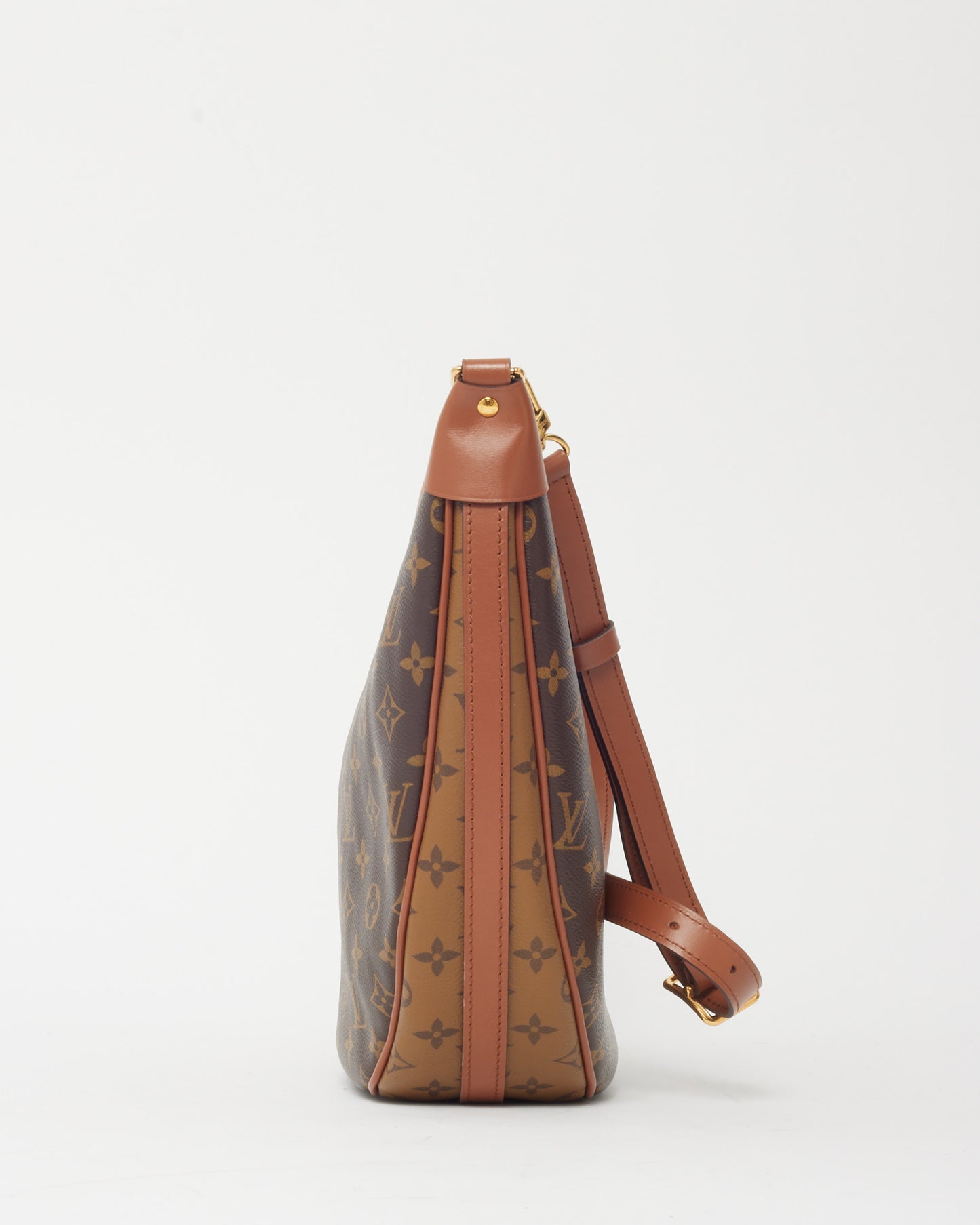 Louis Vuitton Monogram and Monogram Reverse Coated Canvas Loop Hobo Bag