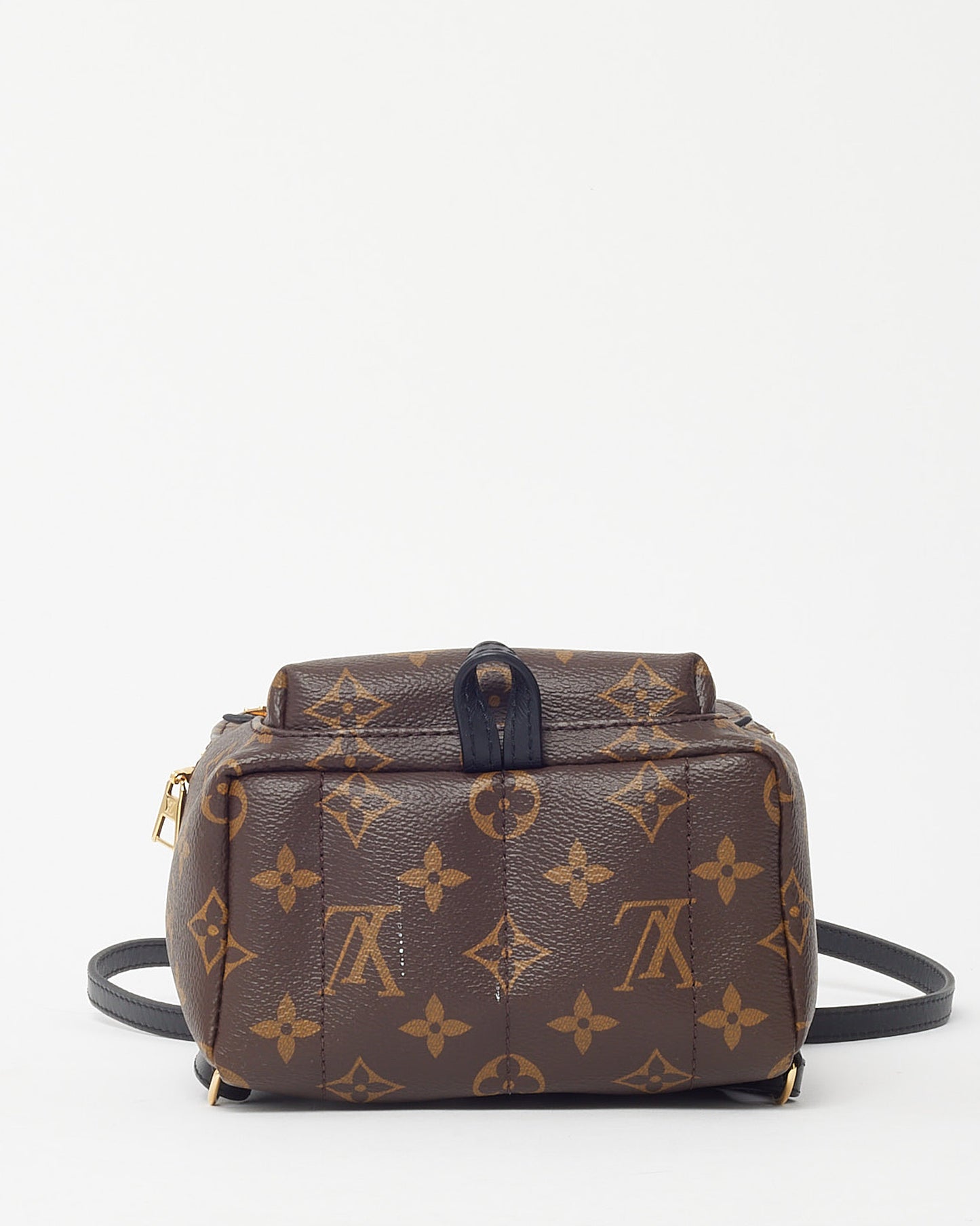 Louis Vuitton Mini sac à dos monogramme Palm Springs