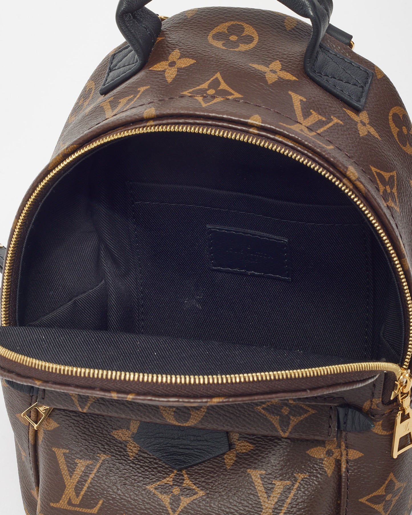 Louis Vuitton Mini sac à dos monogramme Palm Springs