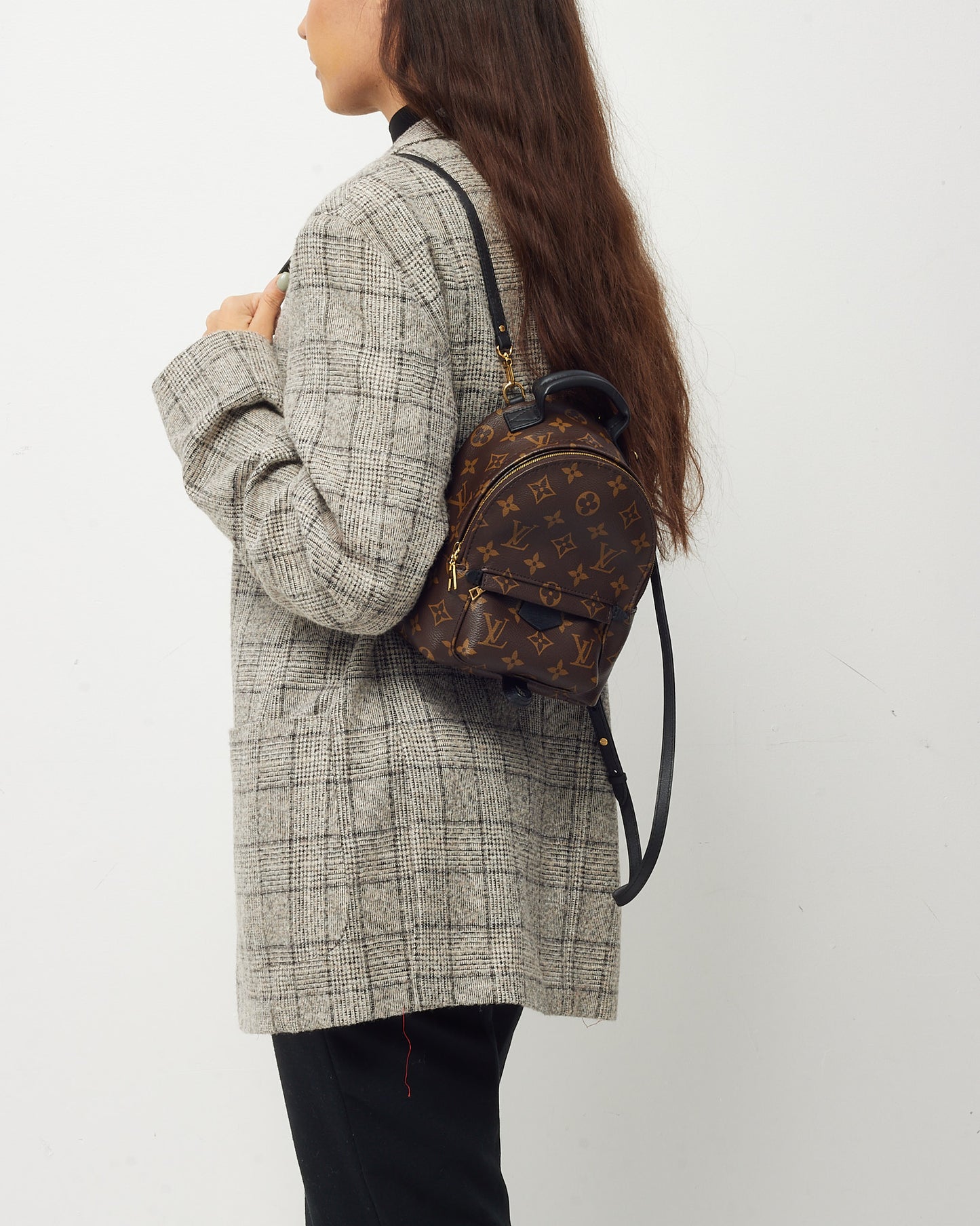 Louis Vuitton Mini sac à dos monogramme Palm Springs