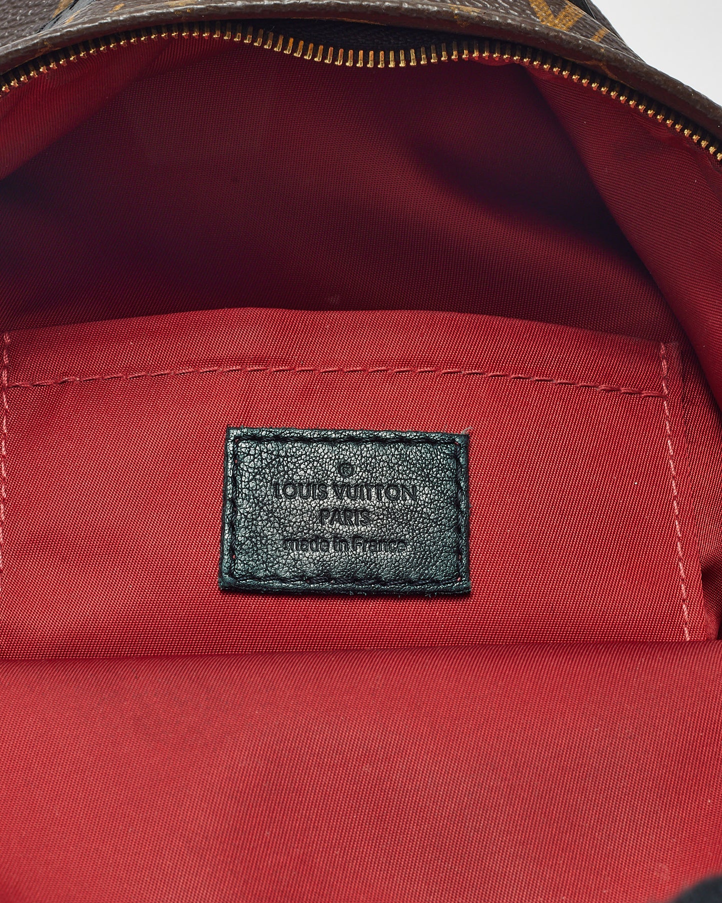 Louis Vuitton Monogram Canvas Limited Edition Worldwide Palm Springs Mini Backpack