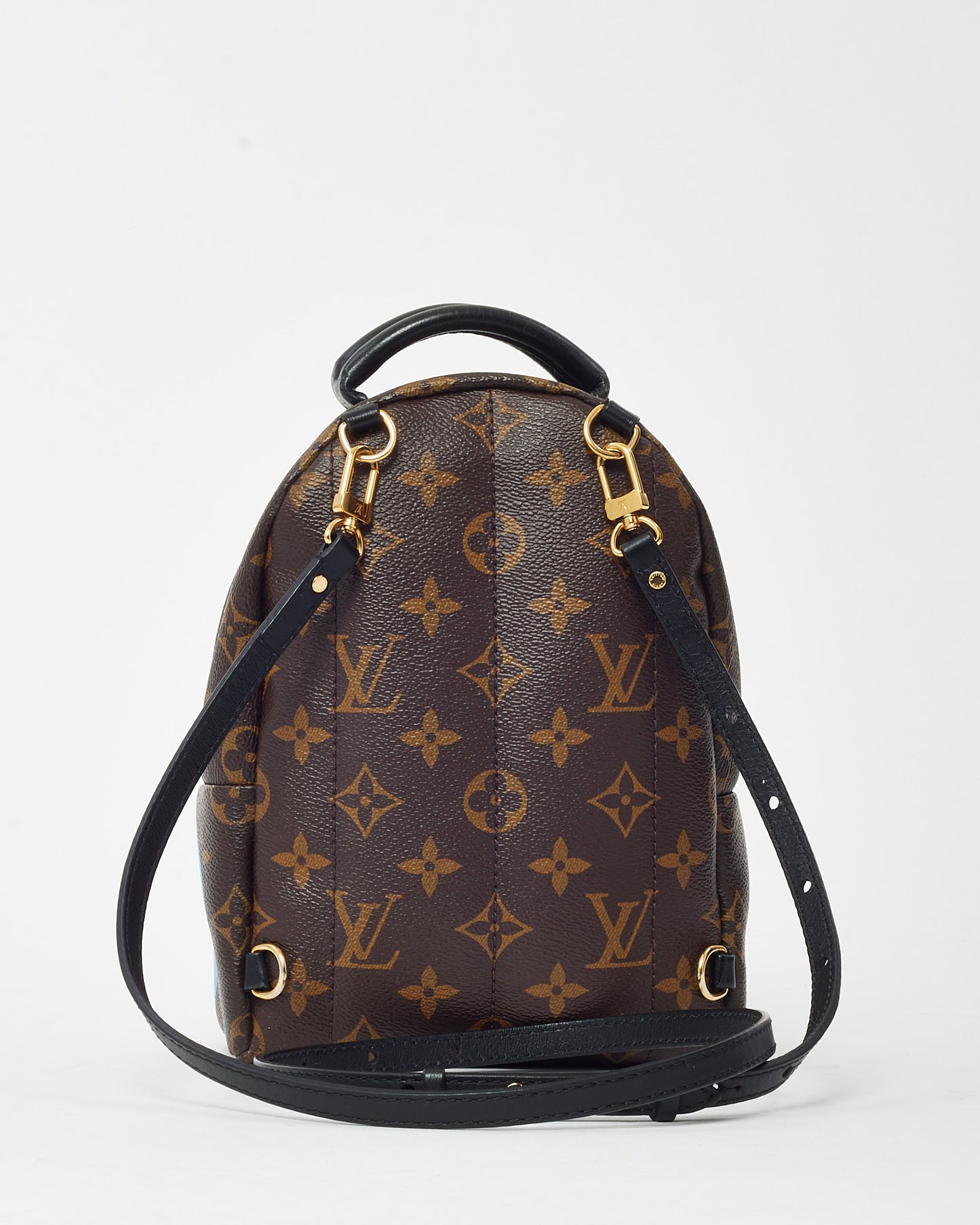 Louis Vuitton Monogram Canvas Limited Edition Worldwide Palm Springs Mini Backpack