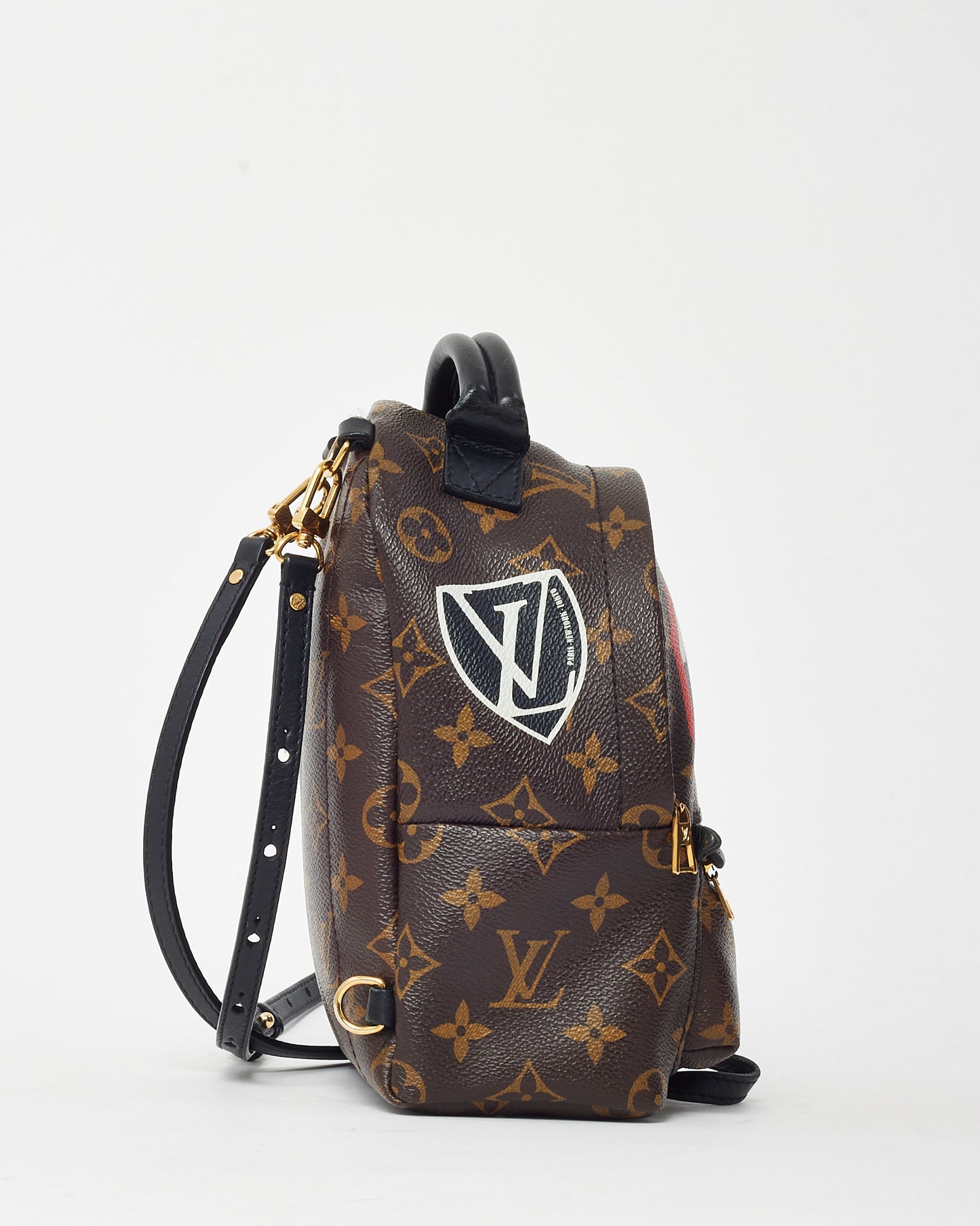 Louis Vuitton Monogram Canvas Limited Edition Worldwide Palm Springs Mini Backpack