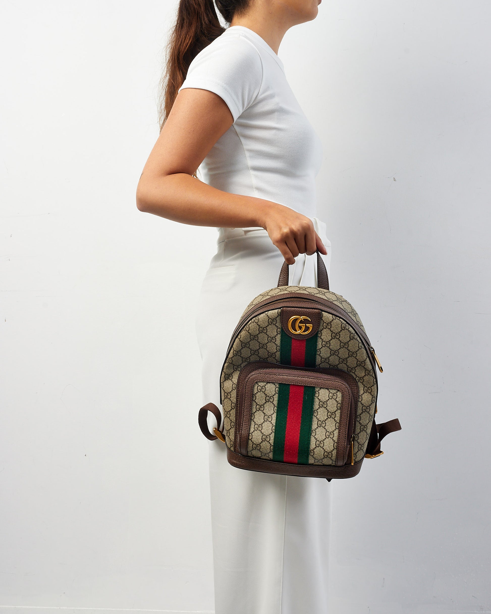 Buy Gucci Brown and Beige GG Supreme Small Ophidia Backpack