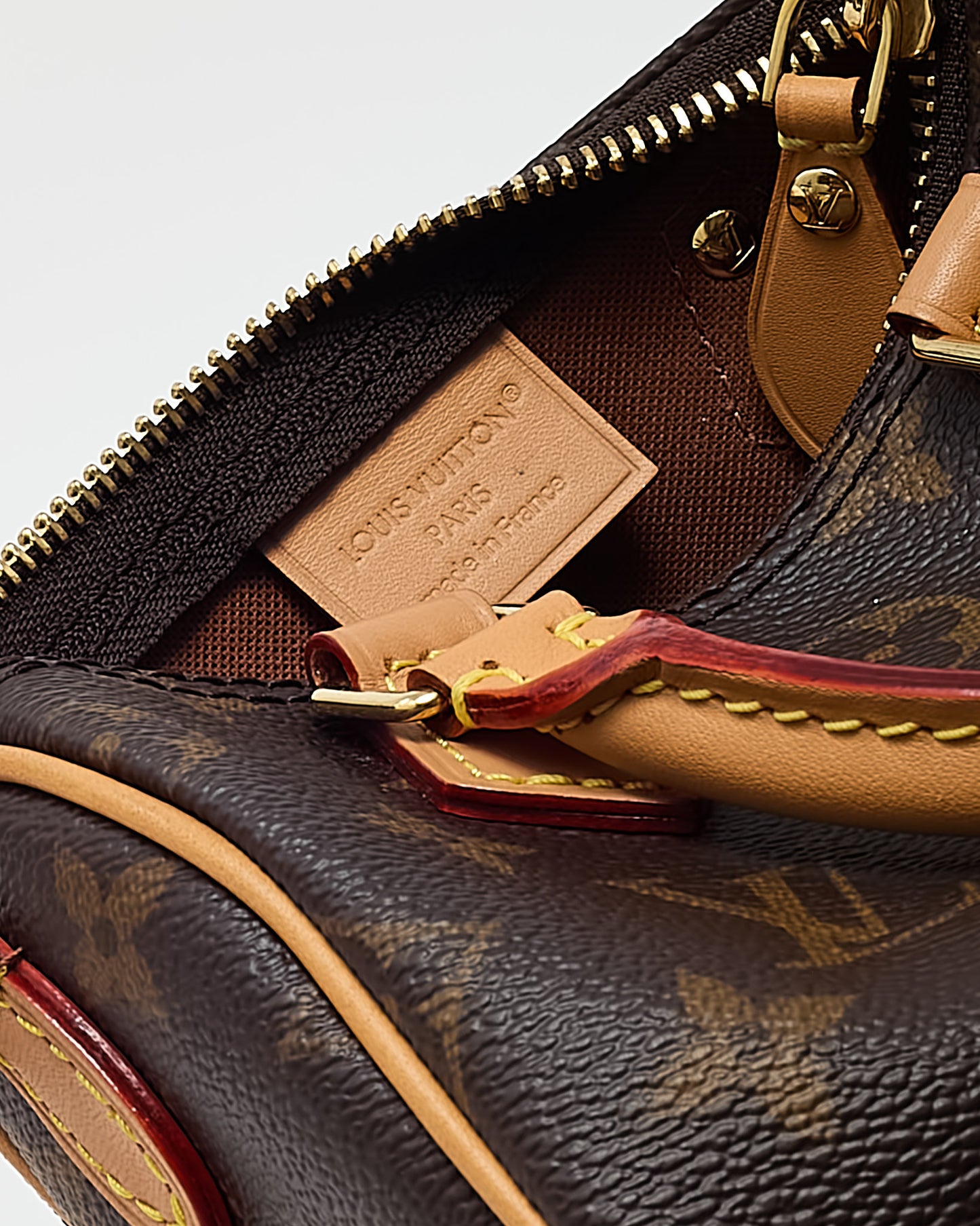 Louis Vuitton Monogram Canvas Speedy Nano Speedy Bandoulière