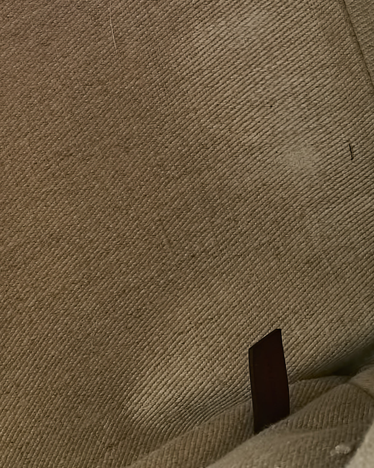 Chloé Beige Canvas & Brown Leather Trim Large Woody Tote Bag