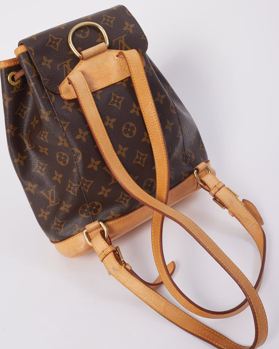 Louis Vuitton Monogram Canvas Montsouris MM Backpack