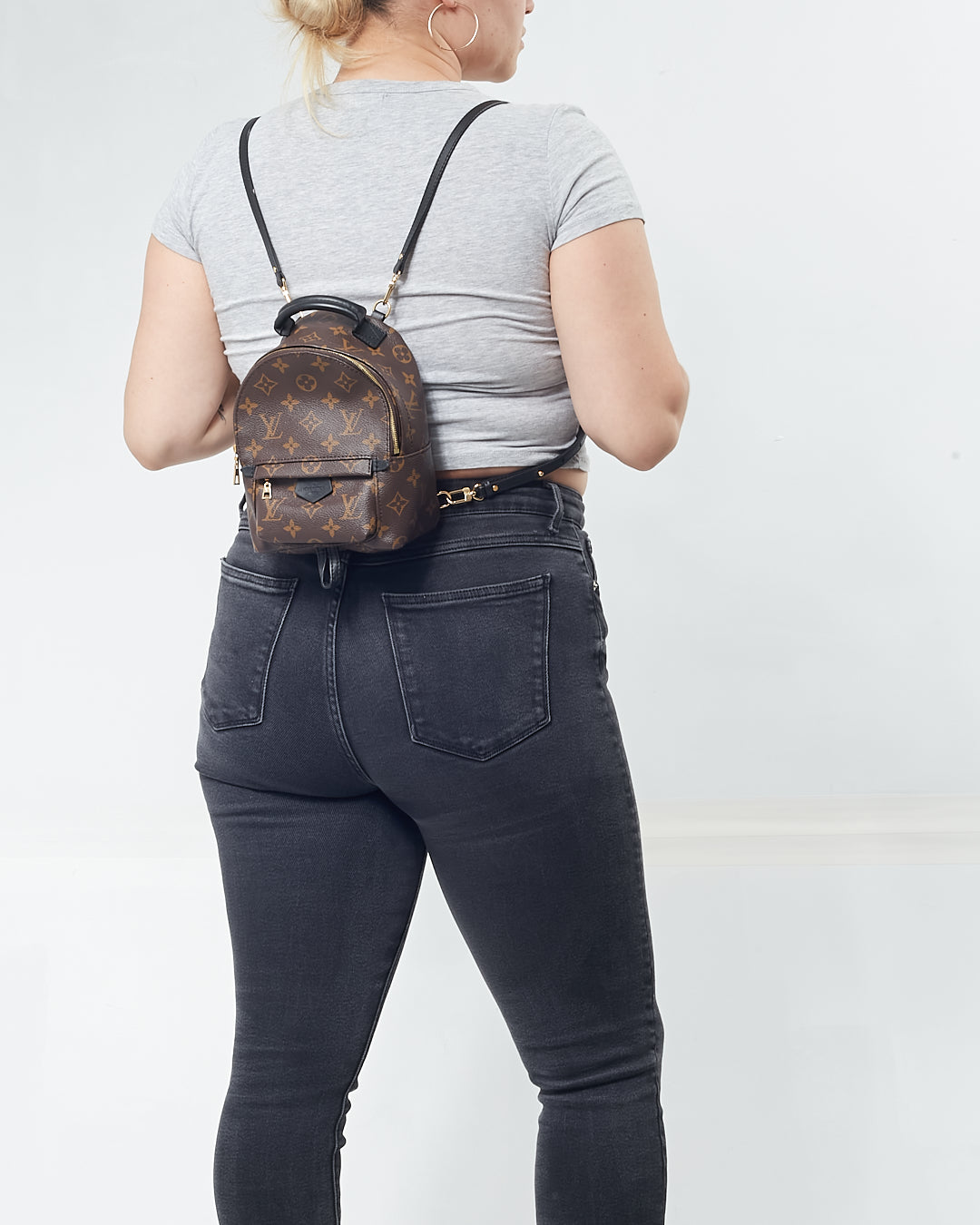 Louis Vuitton Monogram Mini Palm Springs Backpack