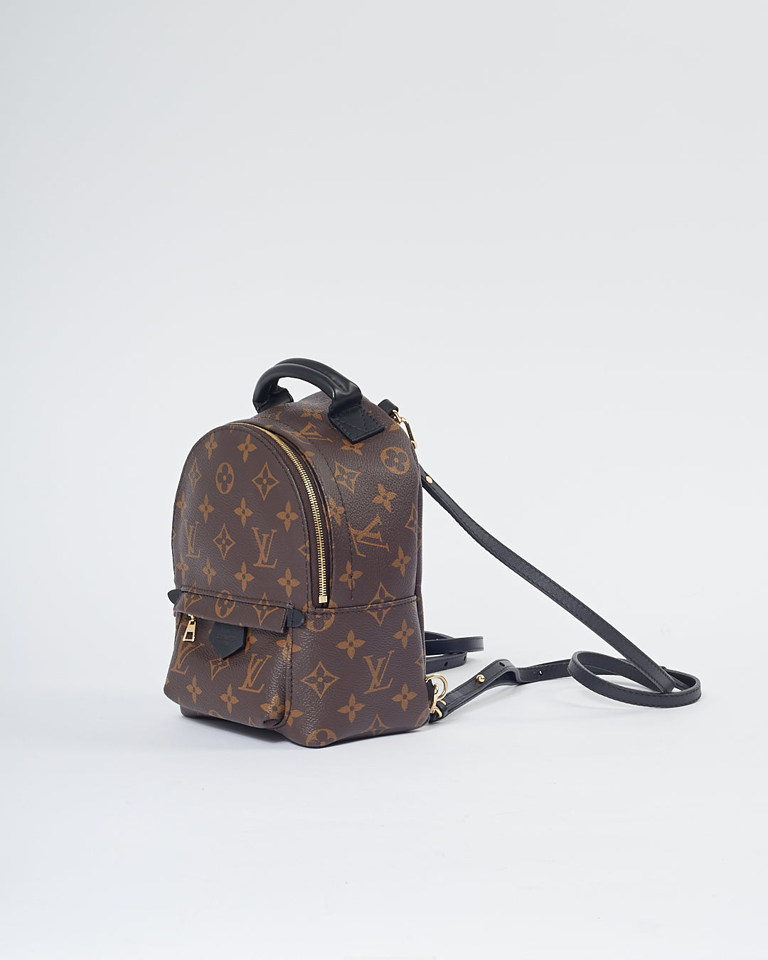 Louis Vuitton Monogram Mini Palm Springs Backpack