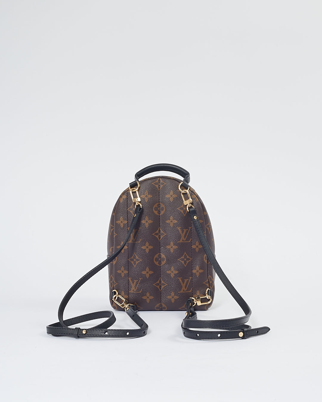 Louis Vuitton Monogram Mini Palm Springs Backpack