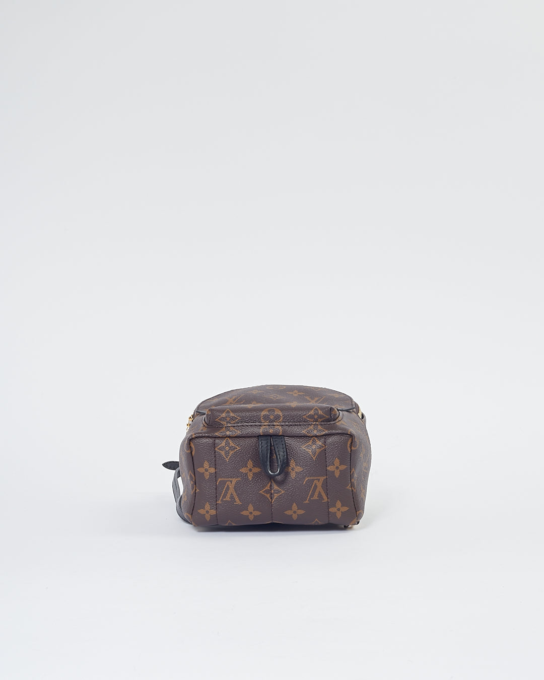 Louis Vuitton Monogram Mini Palm Springs Backpack