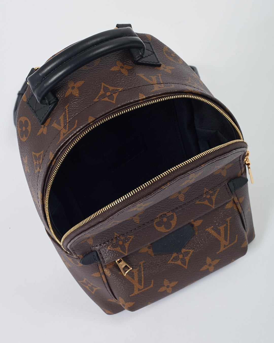 Louis Vuitton Monogram Mini Palm Springs Backpack