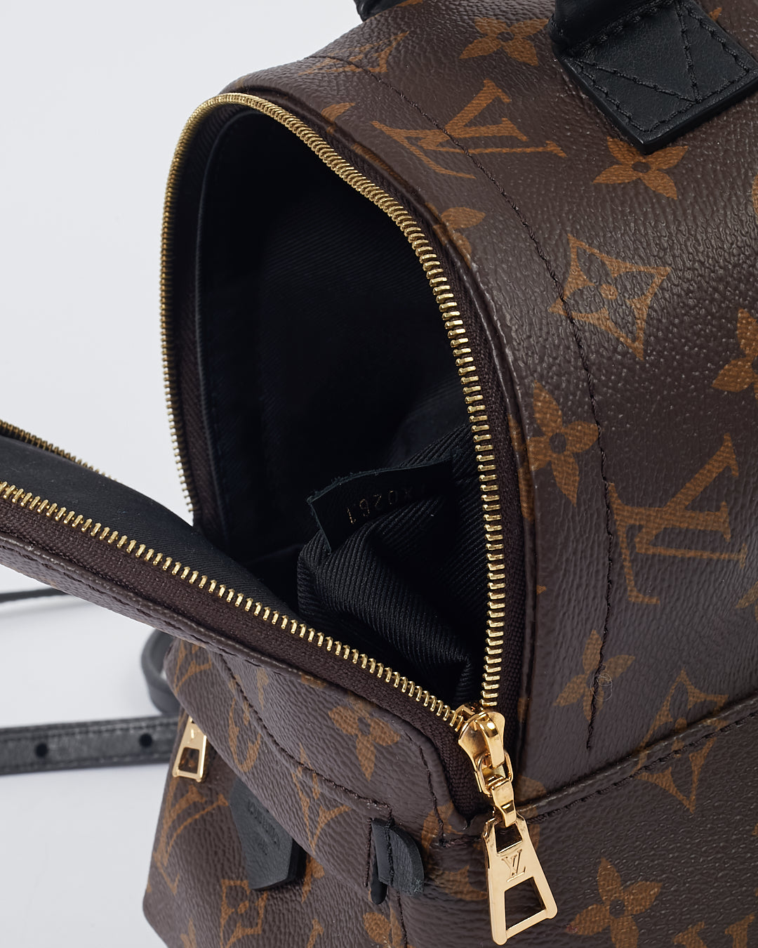 Louis Vuitton Monogram Mini Palm Springs Backpack