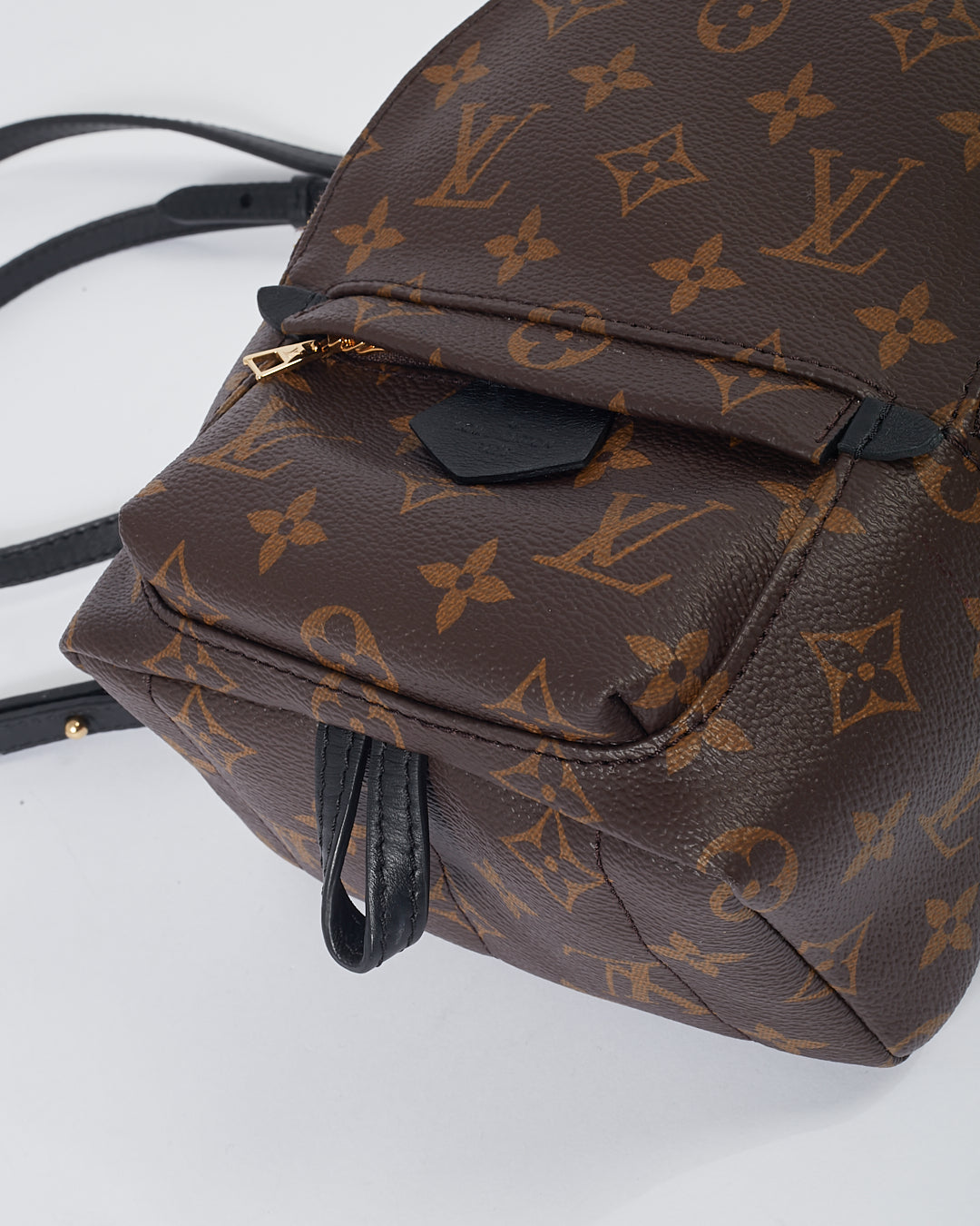 Louis Vuitton Monogram Mini Palm Springs Backpack