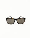 Tom Ford Brown Tinted Wayfarer Sunglasses